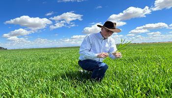 Arizona Farmers and Ranchers Support the Farm Bill. Here’s Why