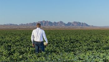 Farm Bureau to President and Congress: Farmers are at a Breaking Point