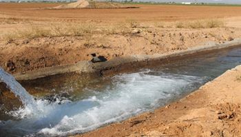 Rosie on the House: Western Farm Bureaus and the Family Farm Alliance Stand at the Forefront of Water Advocacy