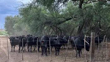 Memorandum of Understanding Seeks to Formalize Enhanced Coordination To Support Ranchers