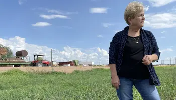 Rosie on the House: Alfalfa and Forage Crops, The Efficient Foundation of Arizona Agriculture