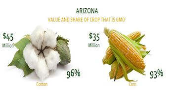 Biotech is Big Time in Arizona!