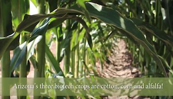 Biotech is Big Time in Arizona!