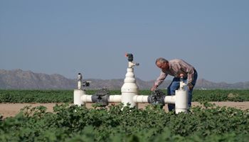Amazing Numbers Under a U of A Water Irrigation Efficiency Program