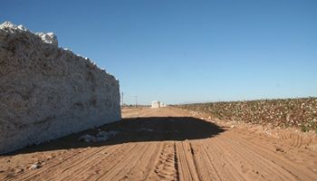 Another Major Retailer Joins the U.S. Cotton Trust Protocol 