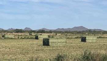 White House Report on Food System Sparks Concern Among Farmers