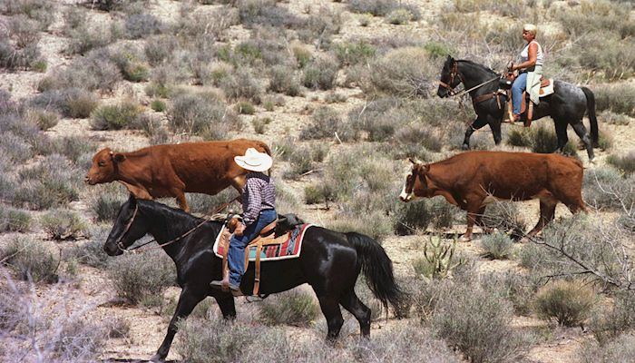 Abuse and Misuse of the Antiquities Act Must Stop