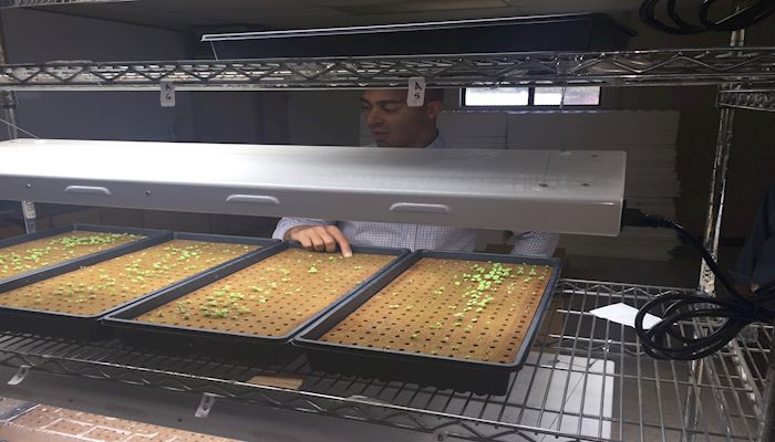 Two Arizona Urban Farmers Win National Grants