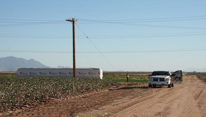 Today’s News Information is Omnipresent but Ag Trade Seems Ignored