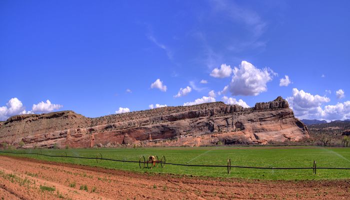 Arizona Farm Bureau Successes