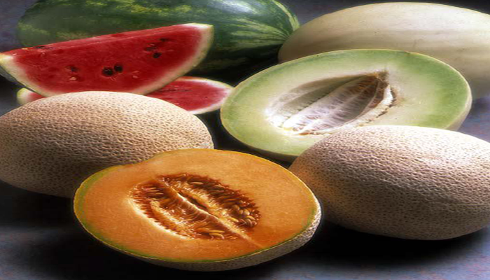 Arizona is Good at Growing Melons 