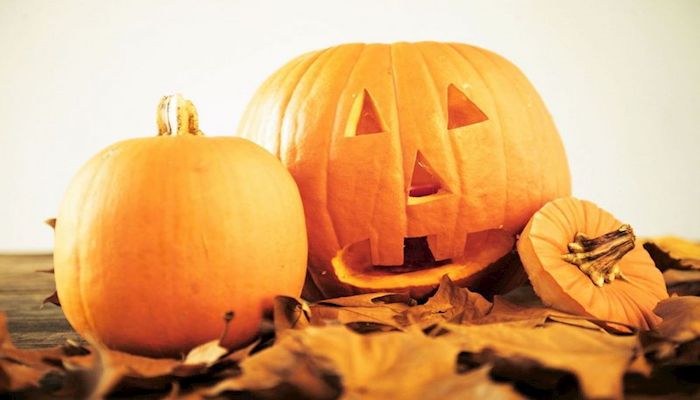 2018 Fall Pumpkin and Corn Maze Festivals
