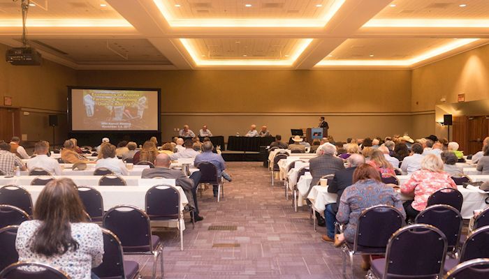 You're an Annual Meeting Delegate, Now What!?