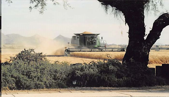 Meet Arizona Agriculture’s Klingenberg Family
