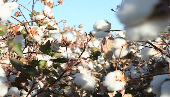 We Need Your Help to Get A Farm Bill Passed This Year