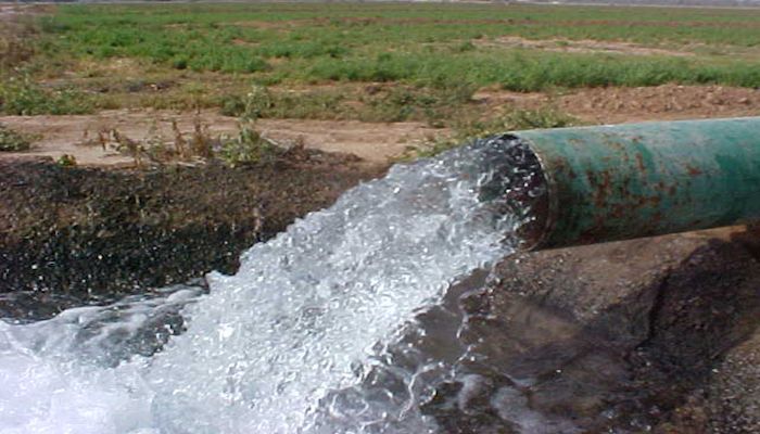 Pinal County Ag, An Economic Powerhouse