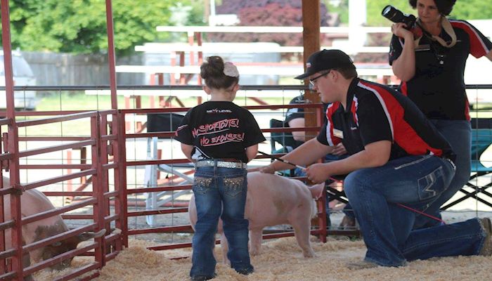 Top 6 Strategies to Avoiding Activist Disruptions at Livestock Shows
