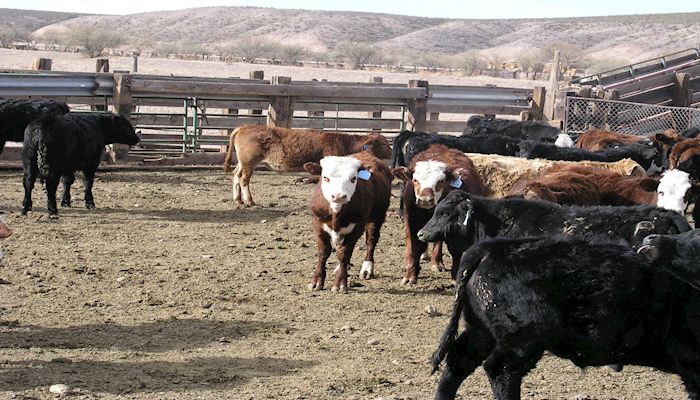 Higher Limits Now Available on USDA Farm Loans