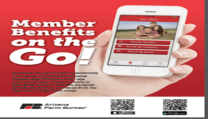 You Downloaded the Member Benefits App. Now What? 