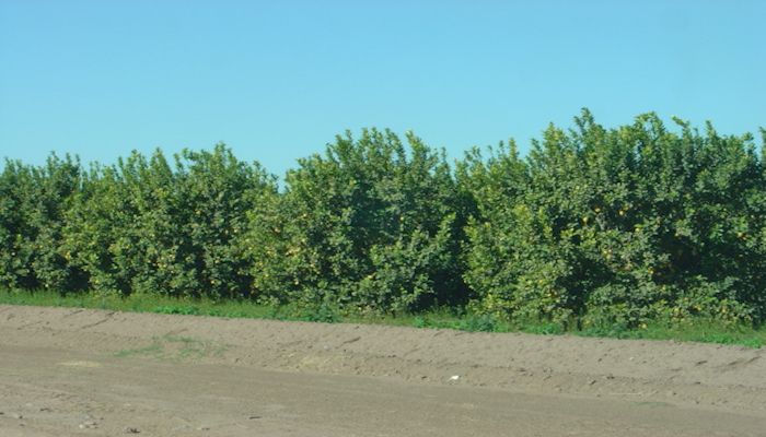 USDA Signup for Conservation Reserve Program Now Open