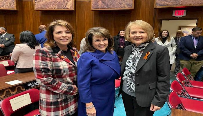 Legislative Leaders Tell Us Their 2020 Priorities