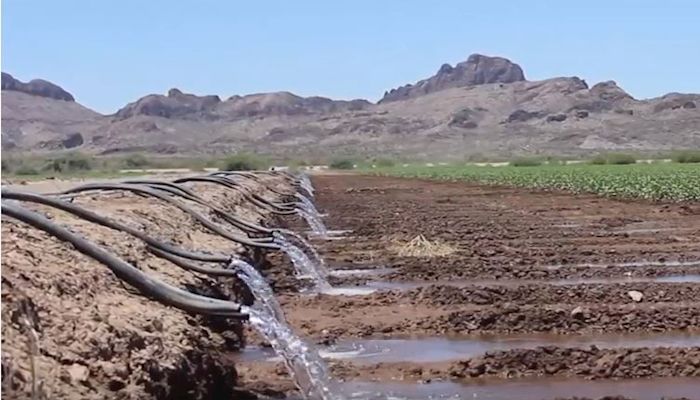 Groundwater and Surface Water Regulated Differently: What about Subflow?