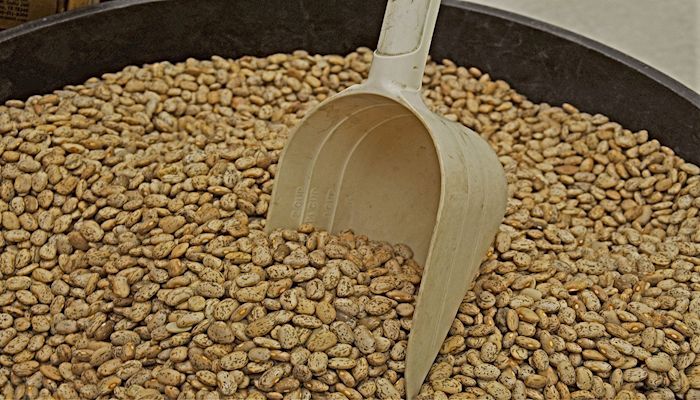 USDA Reminds Arizona Farmers to Complete Crop Acreage Reports