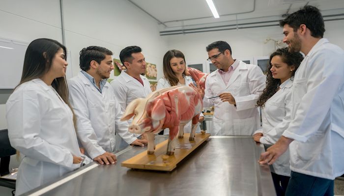UArizona College of Veterinary Medicine Admits First Class