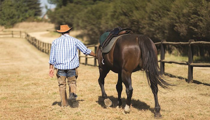 Arizona Entrepreneurs Addressing Farm and Rural Challenges Wanted