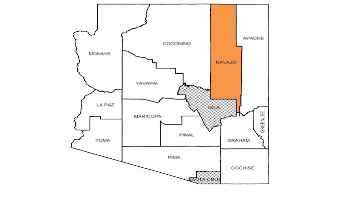 Navajo County Picnic