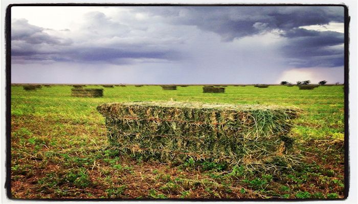 A Day of Marathon Hay Baling in Arizona 