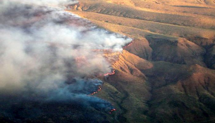 Arizona’s Fire Season is a Hot One