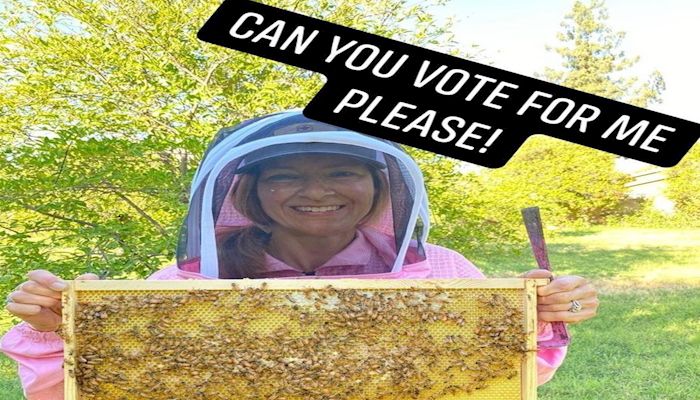 Be Kind and Place a Vote for AZ Queen Bee 