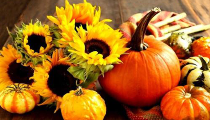 Fall Pumpkin and Corn Maze Festivals