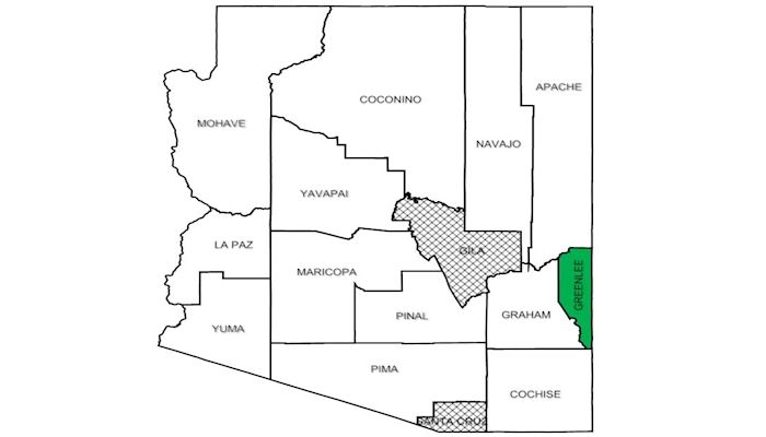 Greenlee County Policy Development Meeting