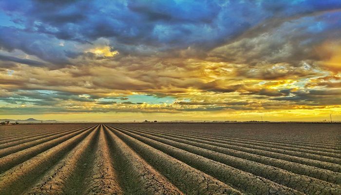 National Alliance Unveils Climate Policy Recommendations that Hopefully Produce Positive Results for Arizona and American Agriculture 