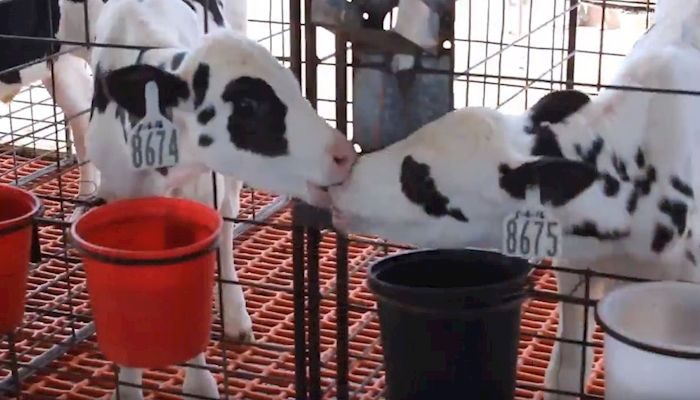 Arizona Agriculture in 30 Seconds