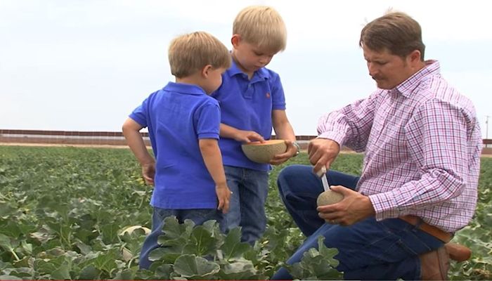 Arizona Agriculture in 3 Minutes