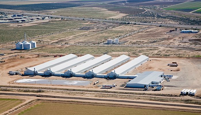 Unmasking the Face of Corporate Farming