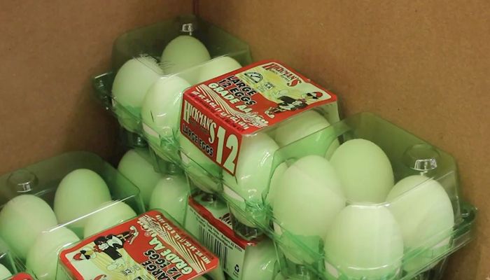 Eggcellent Power Packed Protein!