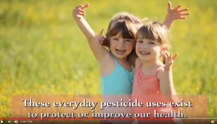 We Pesticide to Our Health Daily!
