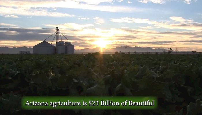 Arizona Agriculture is $23.3 Billion of Beautiful! 