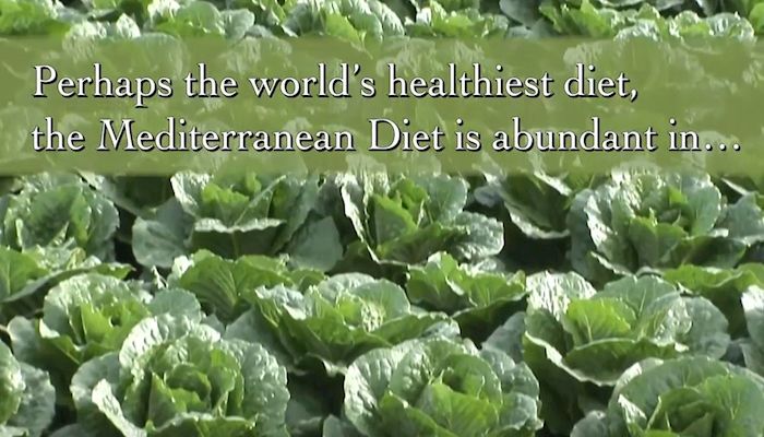 The Med Diet in the Desert