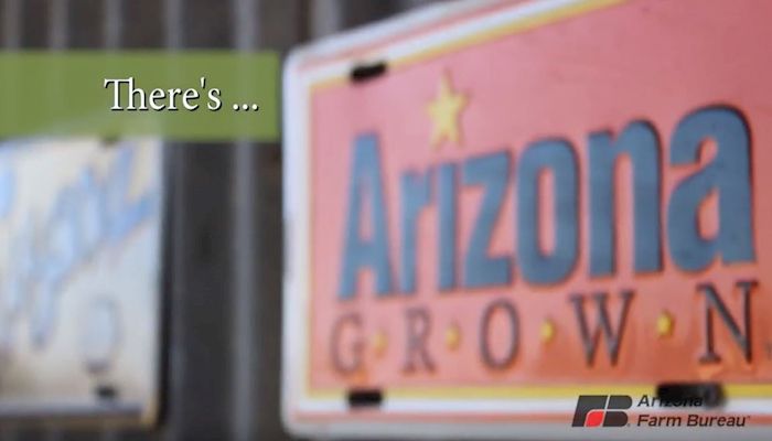 Agriculture in Arizona: What's Out There