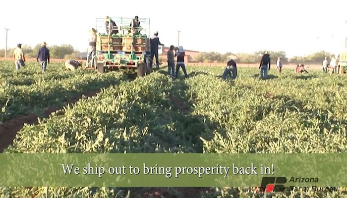 Video: The Ag products Arizona Ships Around the Globe