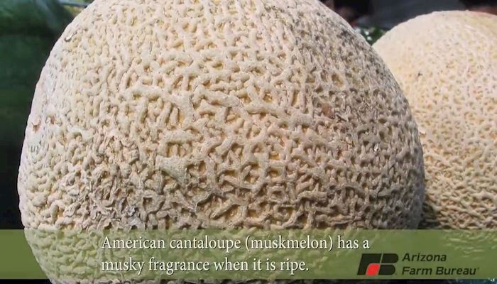 We're Crazy for Arizona Cantaloupe