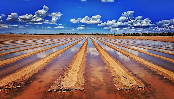 You Lose If Pinal County Ag Loses Water: Video