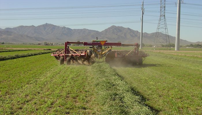 What to Know about GMOs 