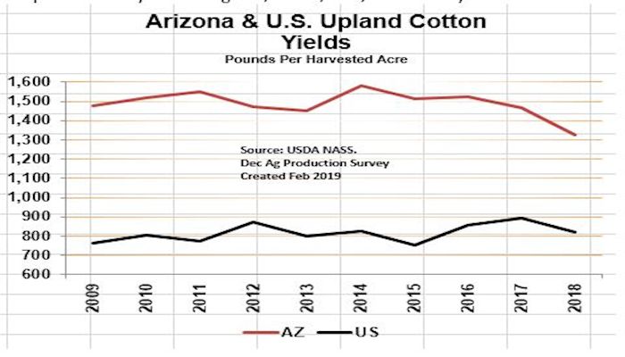 Arizona is a Fruitful Desert
