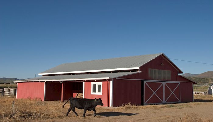 The Truth About Corporate Farms 
